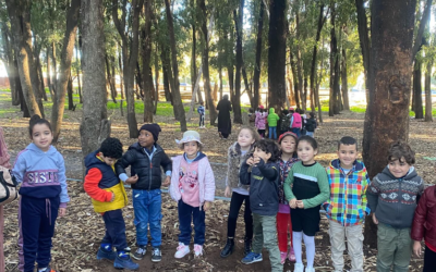 Foret Mamora