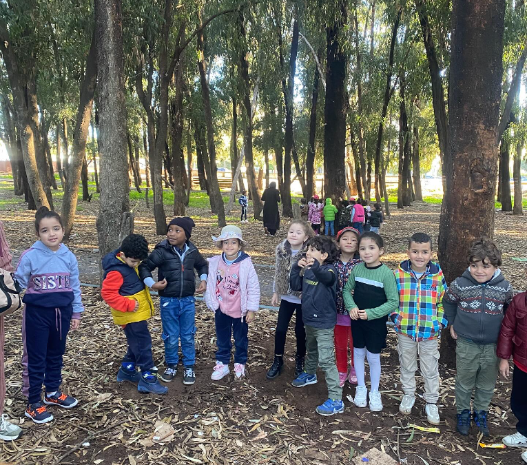 Foret Mamora